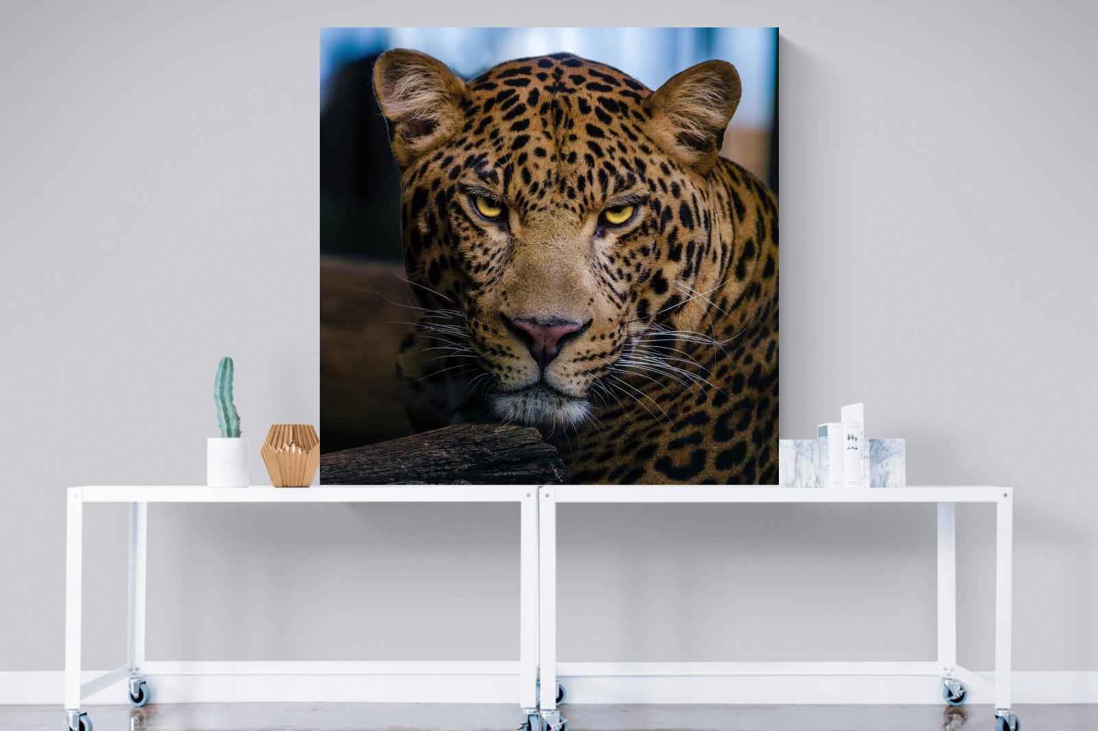 Contempt-Wall_Art-120 x 120cm-Mounted Canvas-No Frame-Pixalot