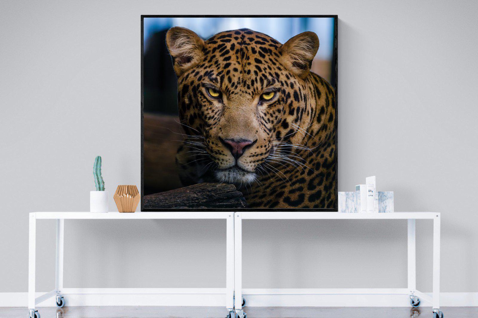 Contempt-Wall_Art-120 x 120cm-Mounted Canvas-Black-Pixalot