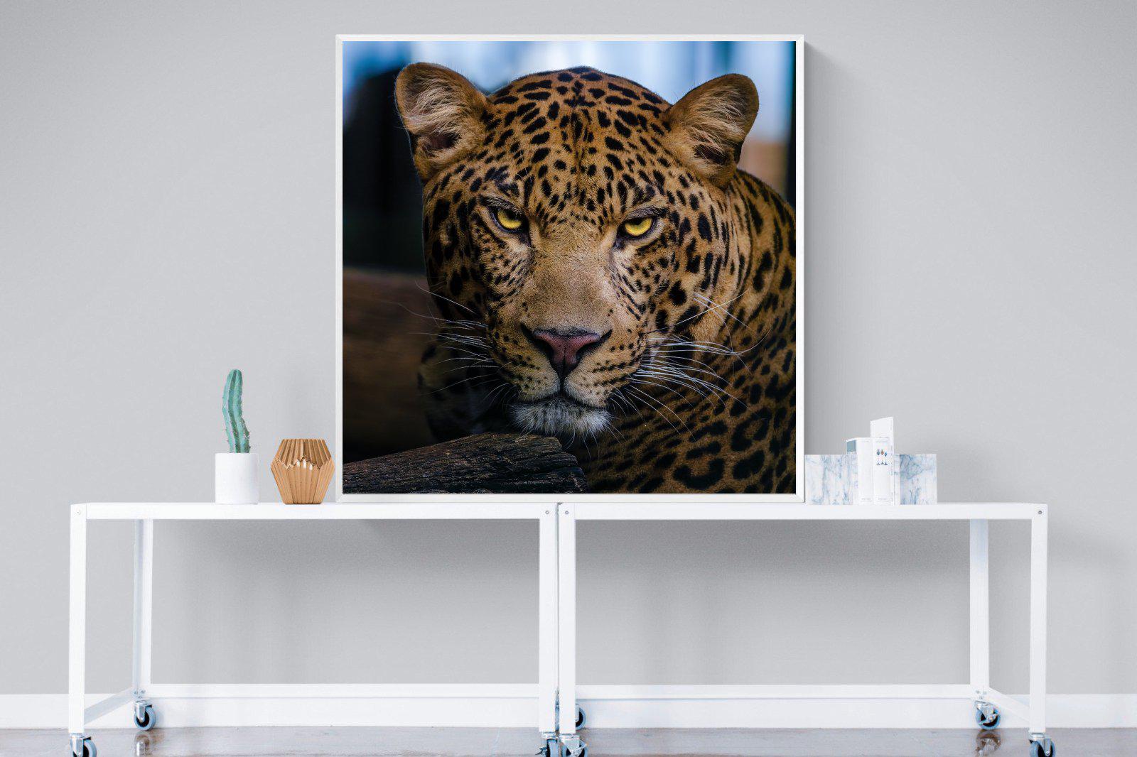 Contempt-Wall_Art-120 x 120cm-Mounted Canvas-White-Pixalot