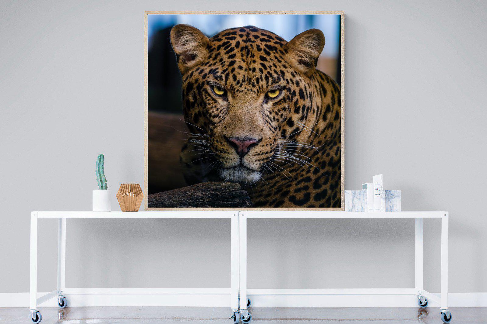 Contempt-Wall_Art-120 x 120cm-Mounted Canvas-Wood-Pixalot