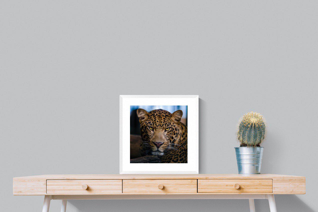 Contempt-Wall_Art-50 x 50cm-Framed Print-White-Pixalot