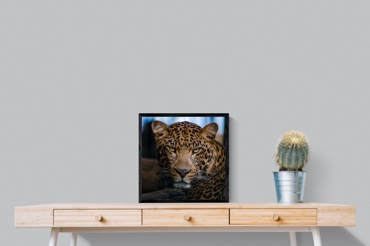 Contempt-Wall_Art-50 x 50cm-Mounted Canvas-Black-Pixalot