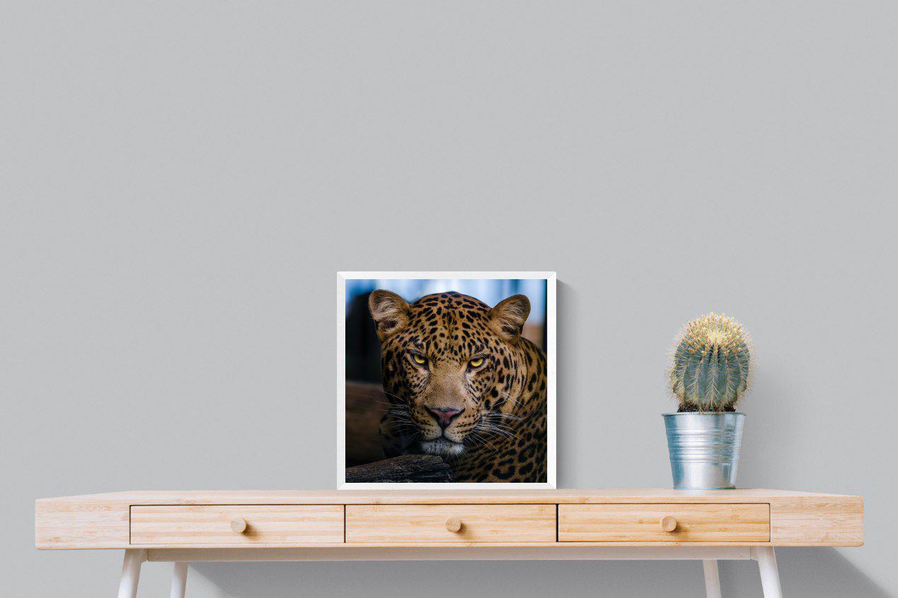 Contempt-Wall_Art-50 x 50cm-Mounted Canvas-White-Pixalot