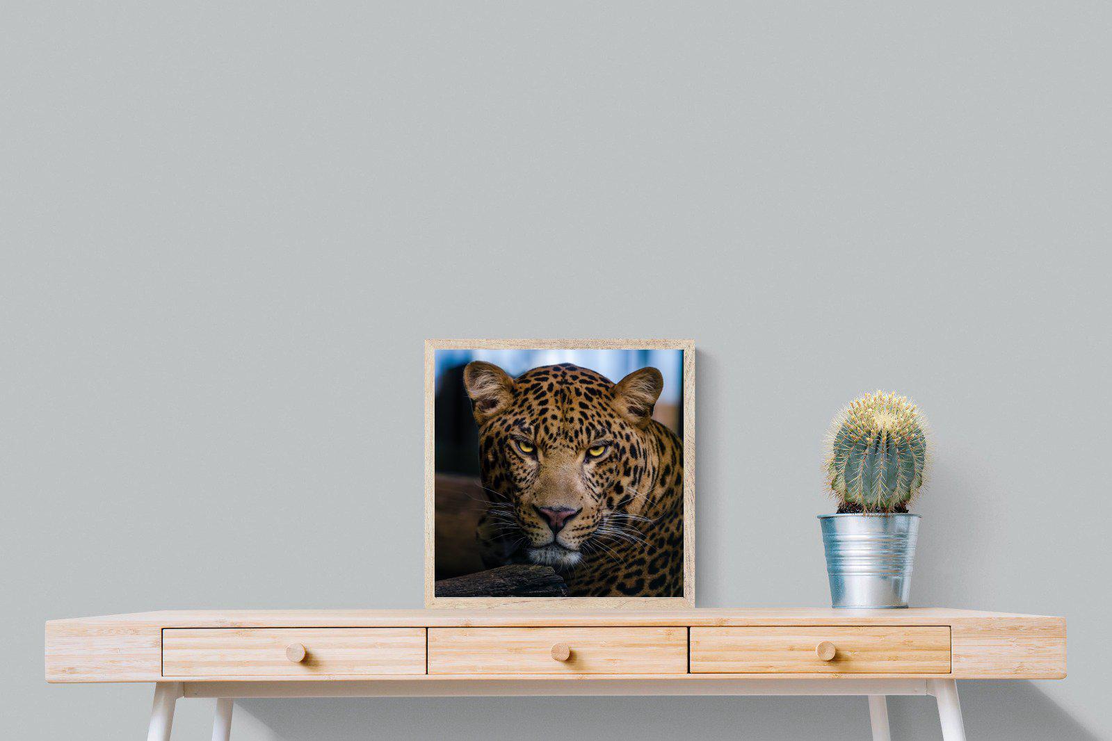 Contempt-Wall_Art-50 x 50cm-Mounted Canvas-Wood-Pixalot