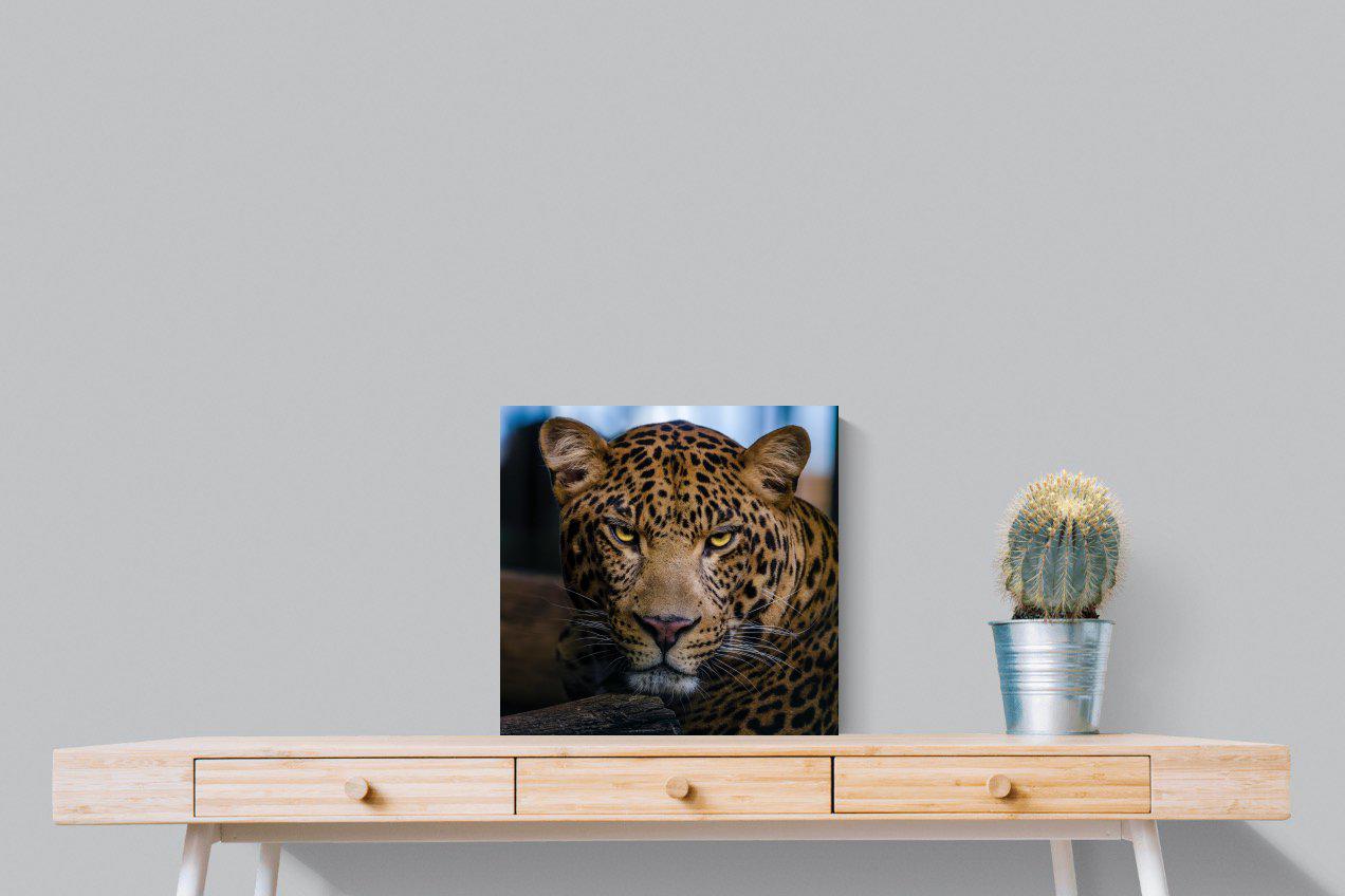 Contempt-Wall_Art-50 x 50cm-Mounted Canvas-No Frame-Pixalot