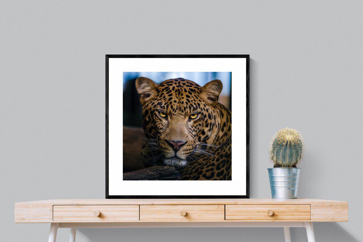 Contempt-Wall_Art-80 x 80cm-Framed Print-Black-Pixalot