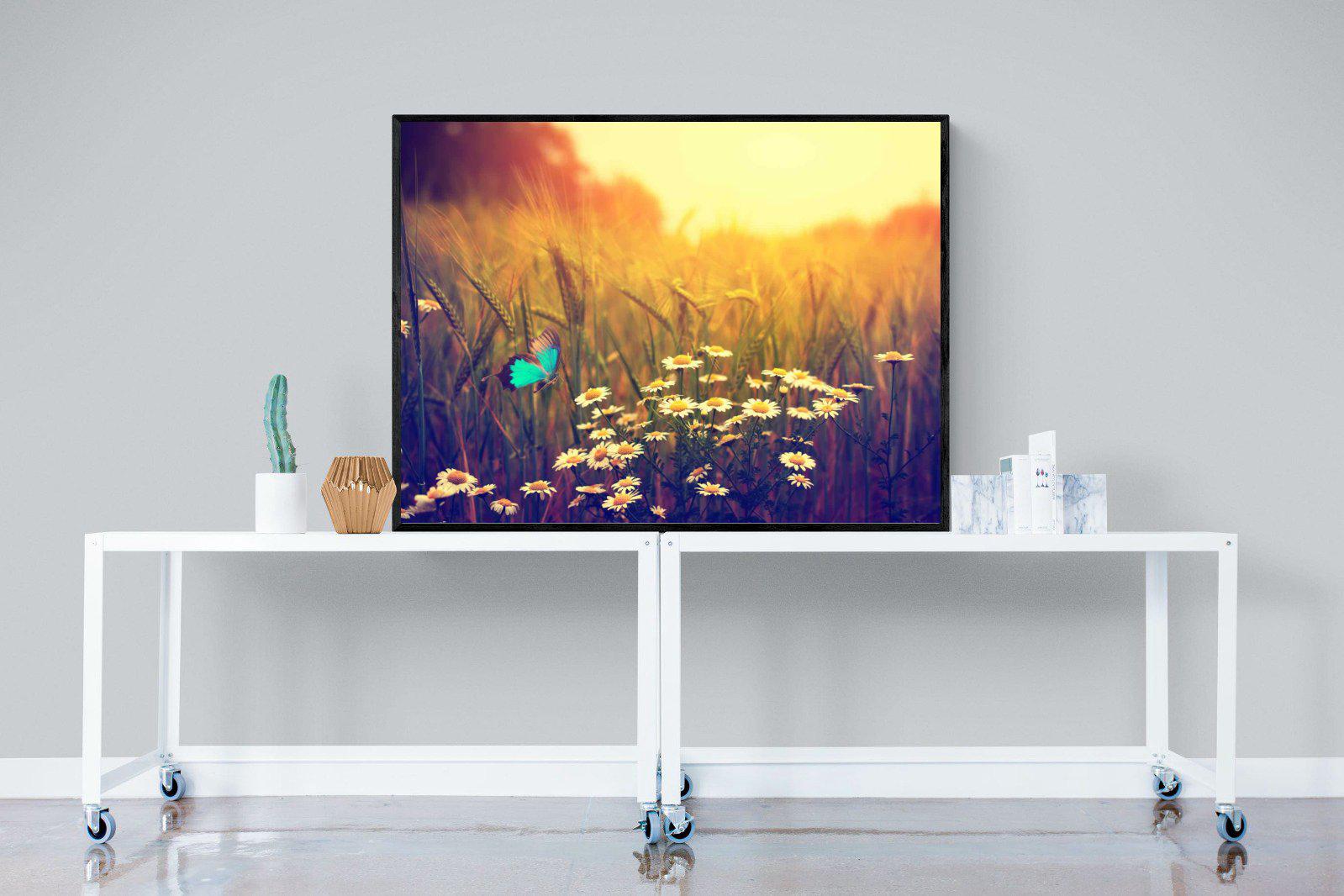 Daisy Flutter-Wall_Art-120 x 90cm-Mounted Canvas-Black-Pixalot