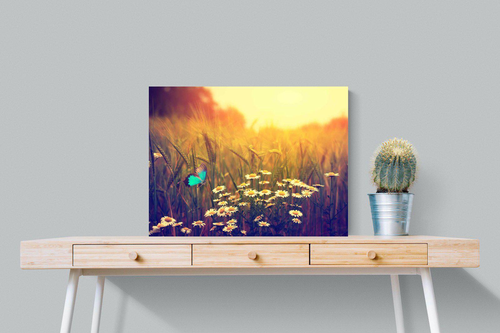 Daisy Flutter-Wall_Art-80 x 60cm-Mounted Canvas-No Frame-Pixalot