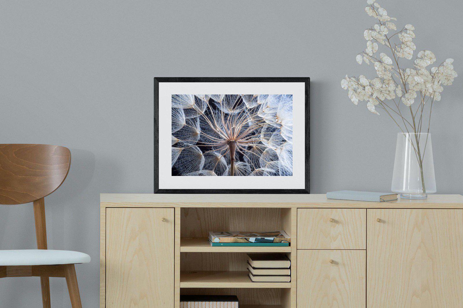 Dandelion Close Up-Wall_Art-60 x 45cm-Framed Print-Black-Pixalot