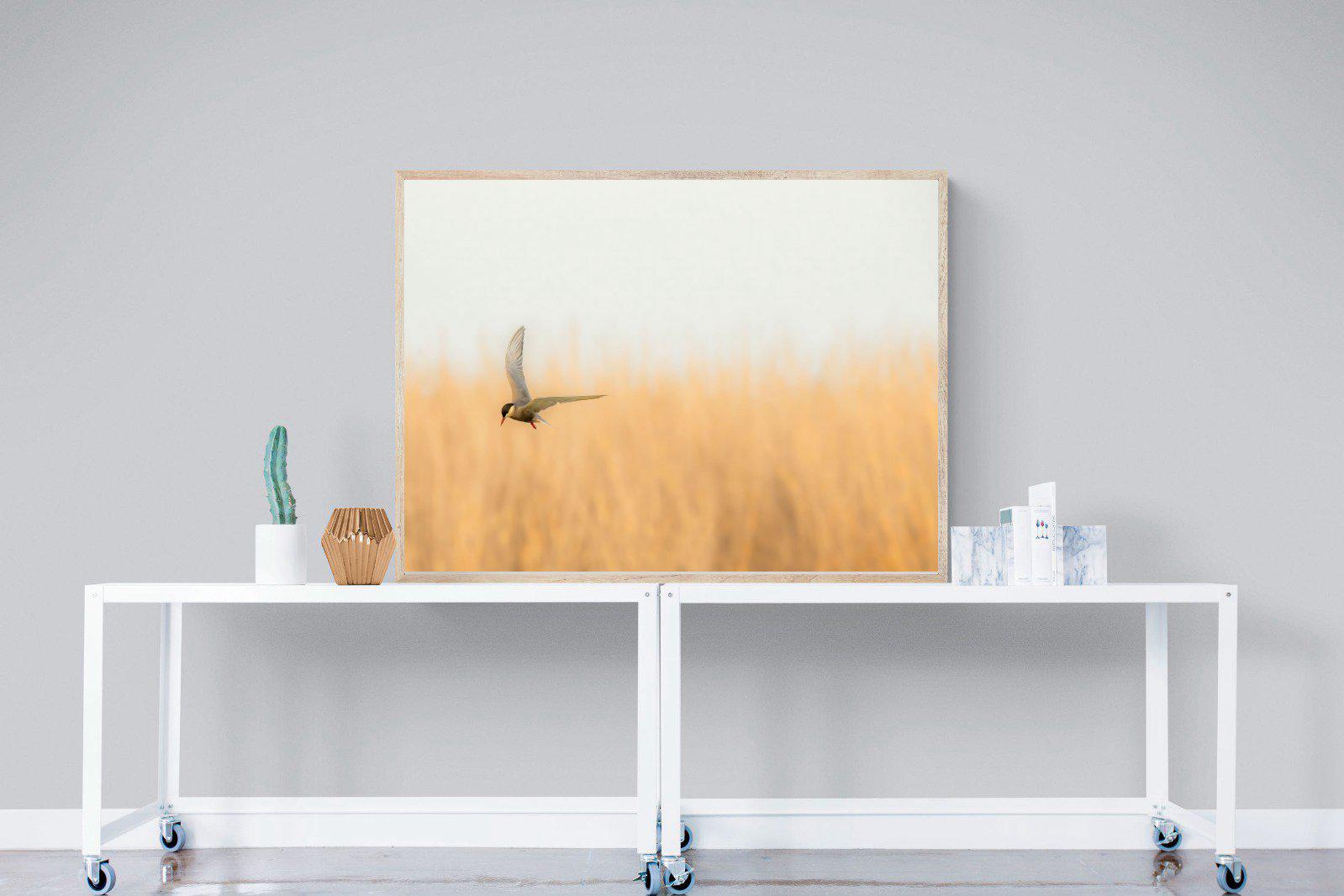 Focused-Wall_Art-120 x 90cm-Mounted Canvas-Wood-Pixalot