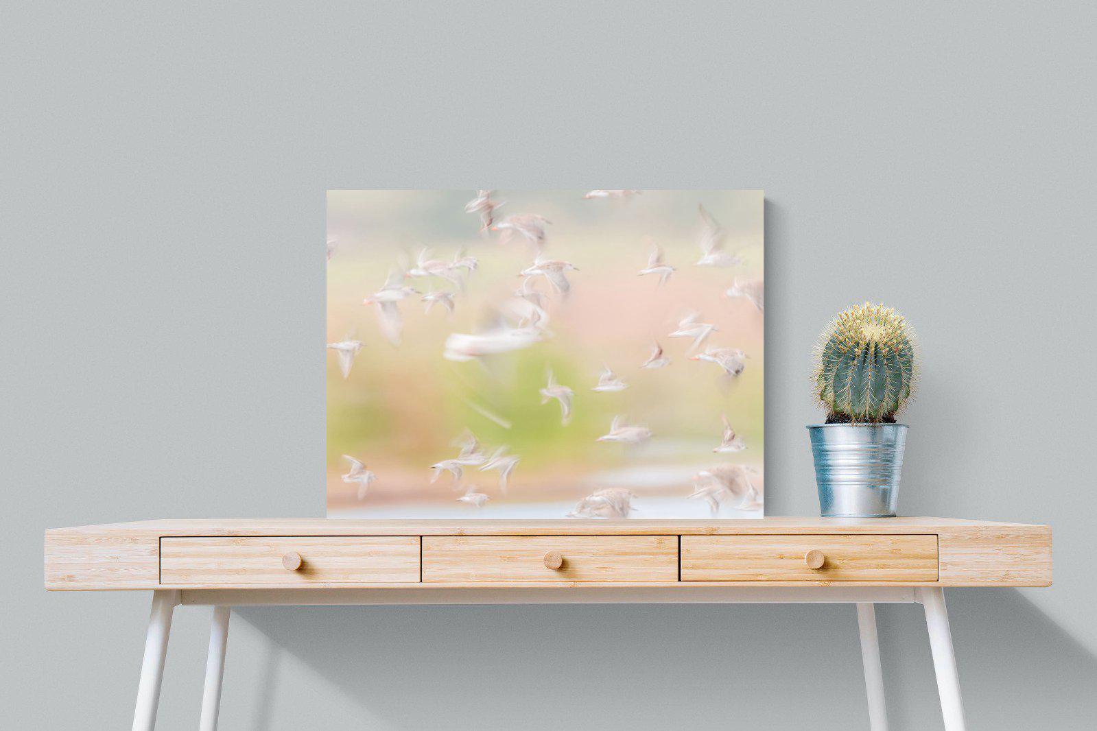 Frenzy-Wall_Art-80 x 60cm-Mounted Canvas-No Frame-Pixalot