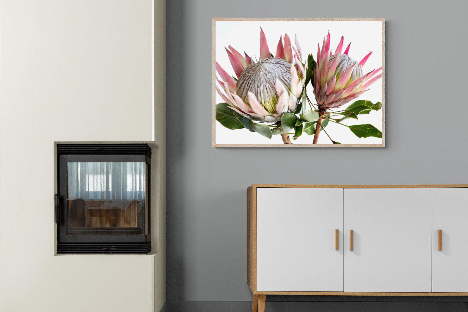 King Proteas-Wall_Art-100 x 75cm-Mounted Canvas-Wood-Pixalot