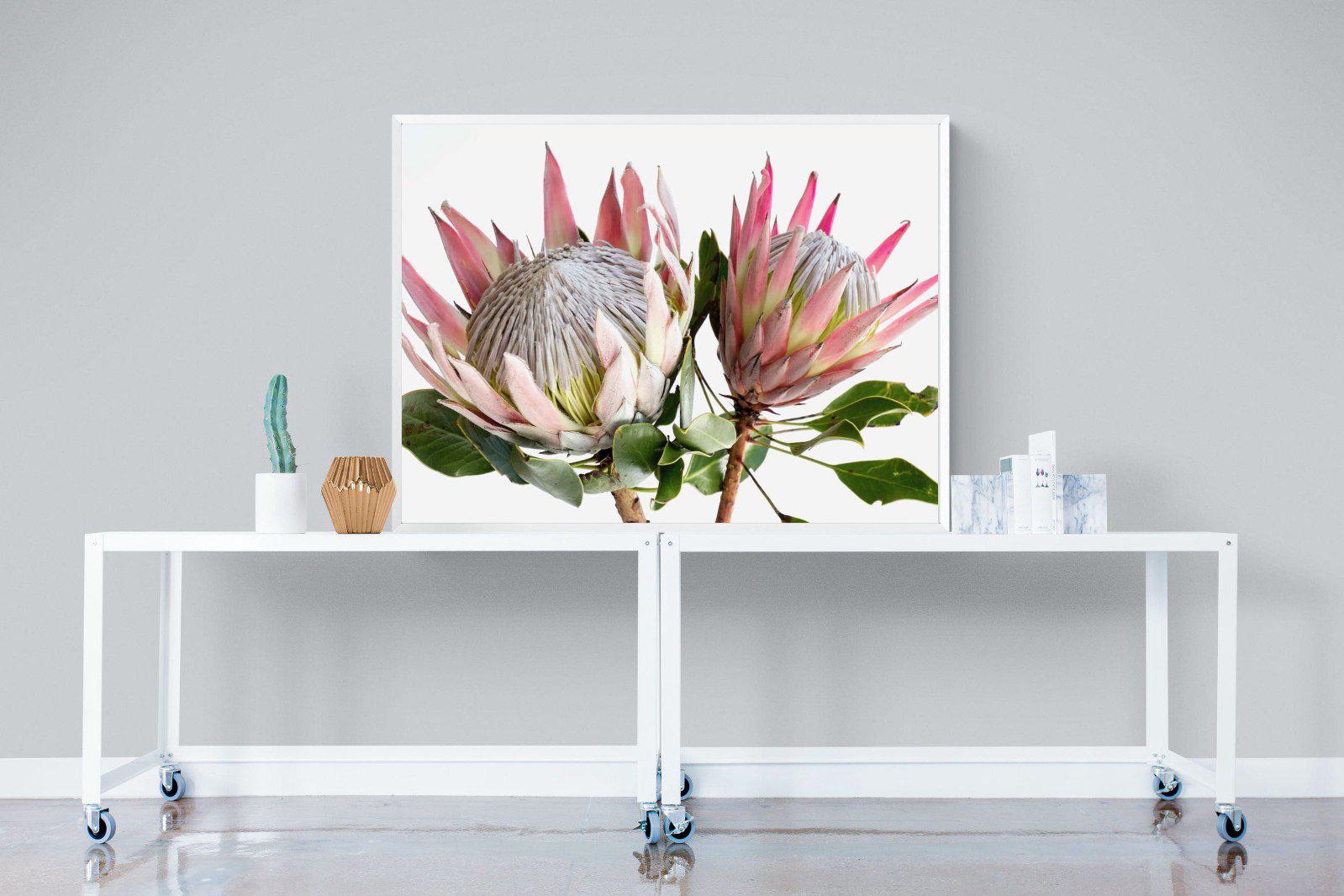 King Proteas-Wall_Art-120 x 90cm-Mounted Canvas-White-Pixalot