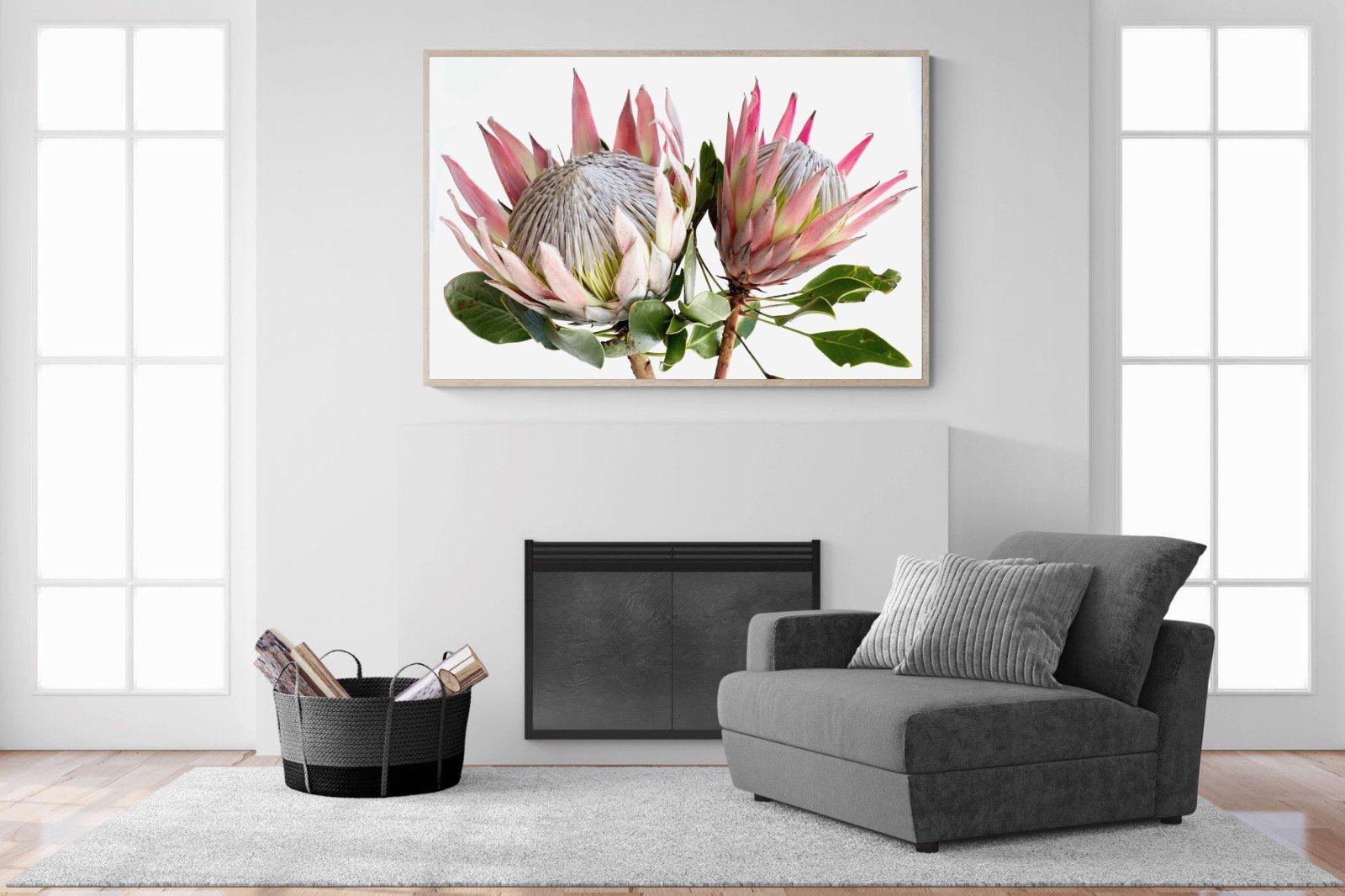 King Proteas-Wall_Art-150 x 100cm-Mounted Canvas-Wood-Pixalot