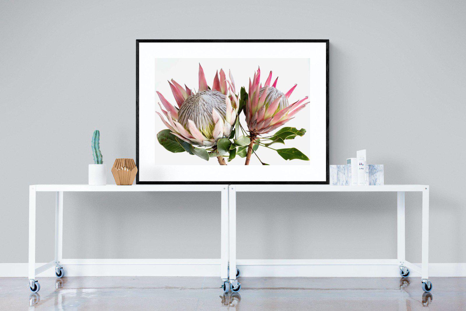 King Proteas-Wall_Art-Pixalot