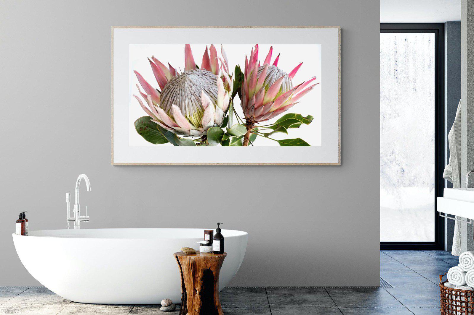 King Proteas-Wall_Art-Pixalot