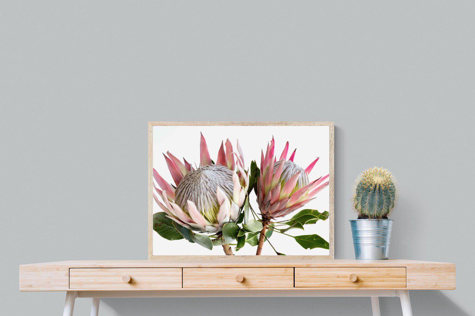King Proteas-Wall_Art-Pixalot