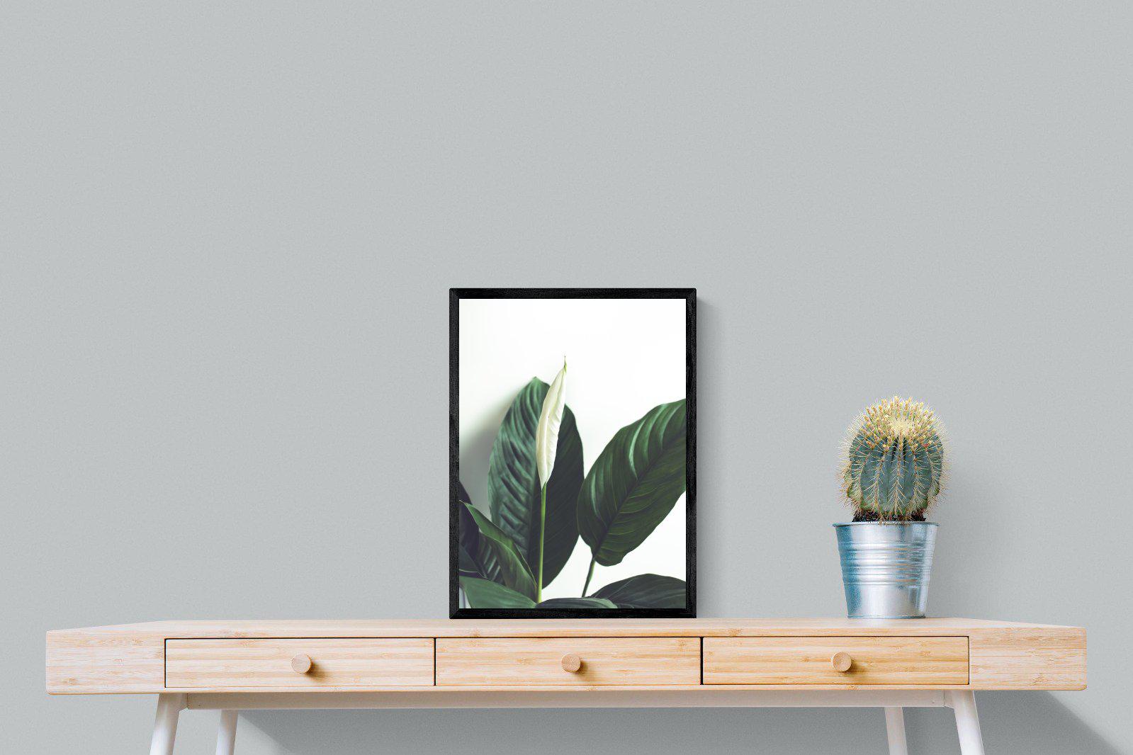 Lily Leaves-Wall_Art-45 x 60cm-Mounted Canvas-Black-Pixalot