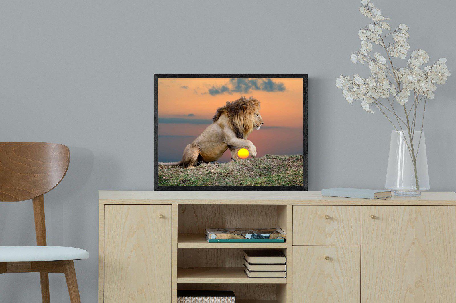 Lion Sunset-Wall_Art-60 x 45cm-Mounted Canvas-Black-Pixalot
