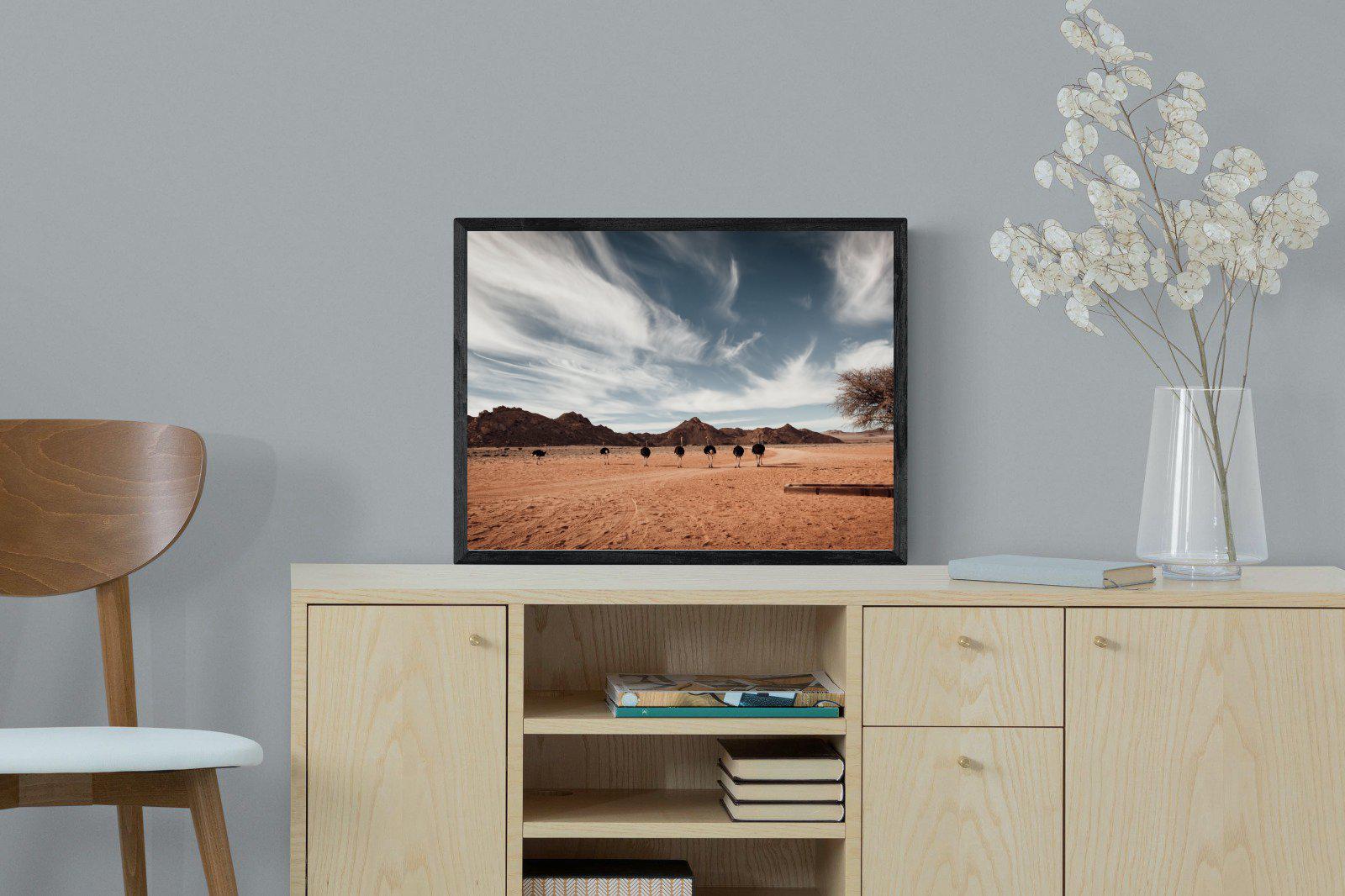 Namibian Ostrich-Wall_Art-60 x 45cm-Mounted Canvas-Black-Pixalot