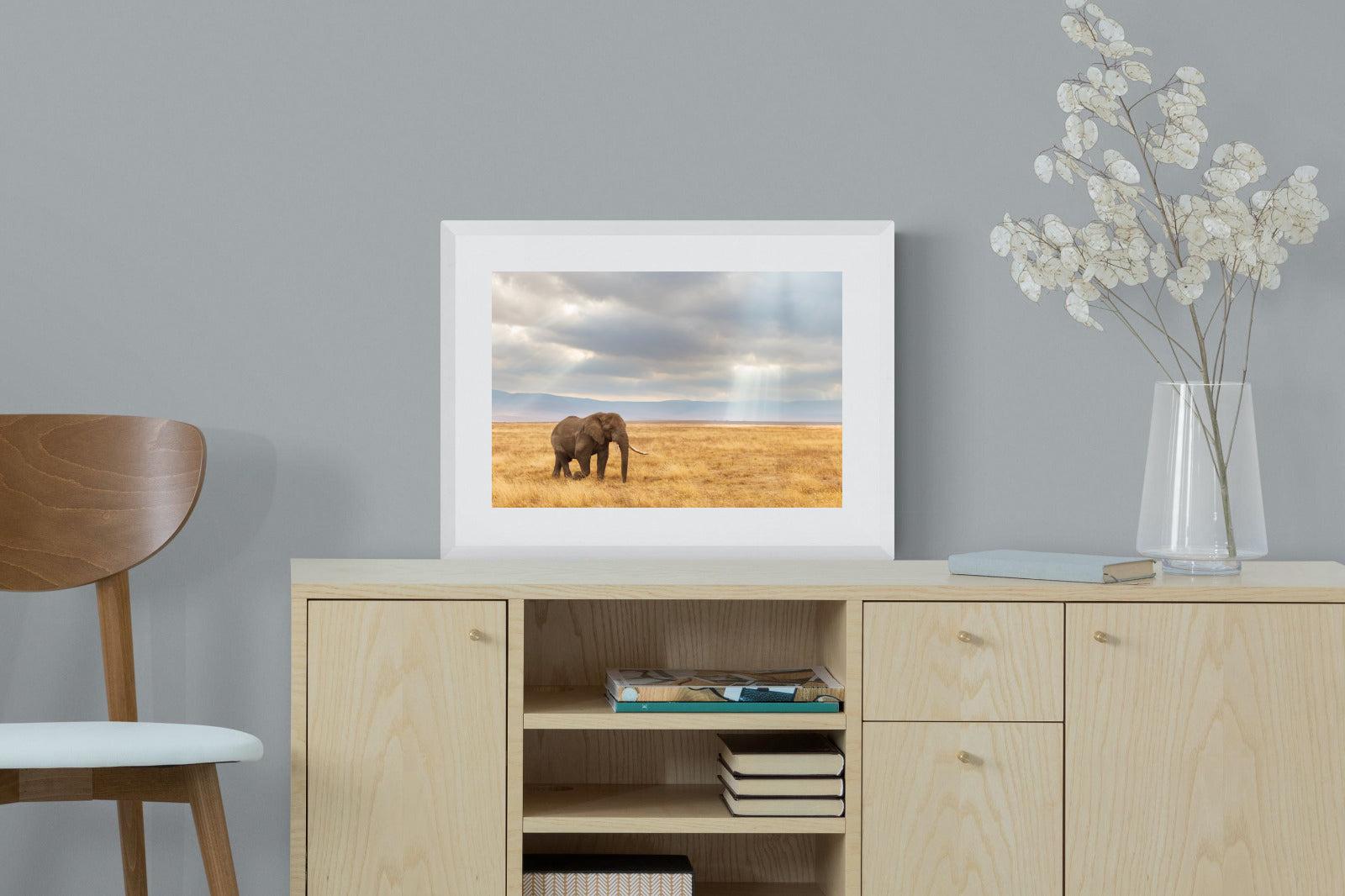 Ngorongoro Ele-Wall_Art-60 x 45cm-Framed Print-White-Pixalot
