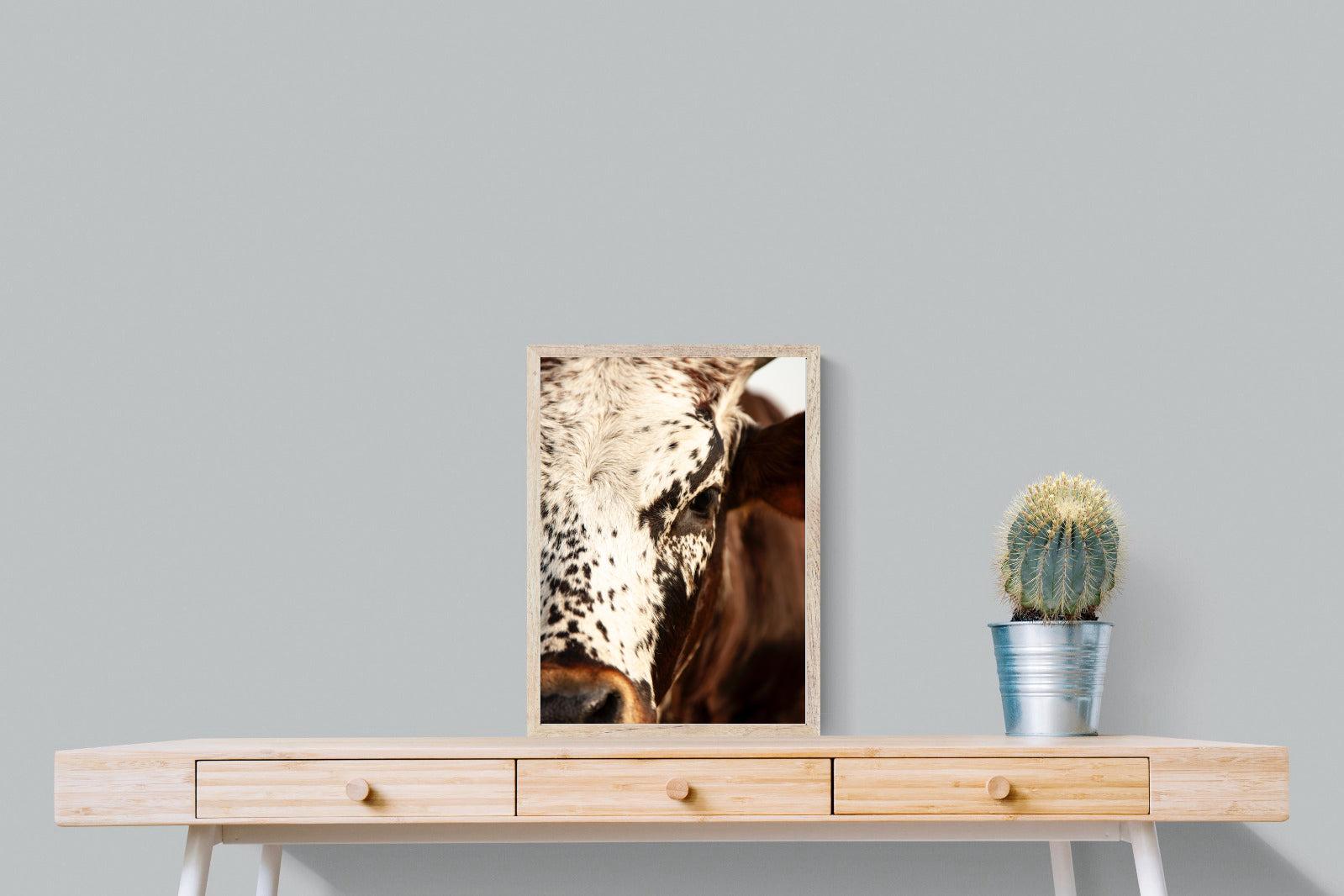 Nguni Close-Wall_Art-45 x 60cm-Mounted Canvas-Wood-Pixalot