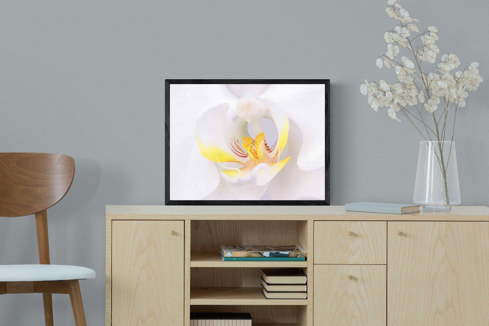 Orchid-Wall_Art-60 x 45cm-Mounted Canvas-Black-Pixalot