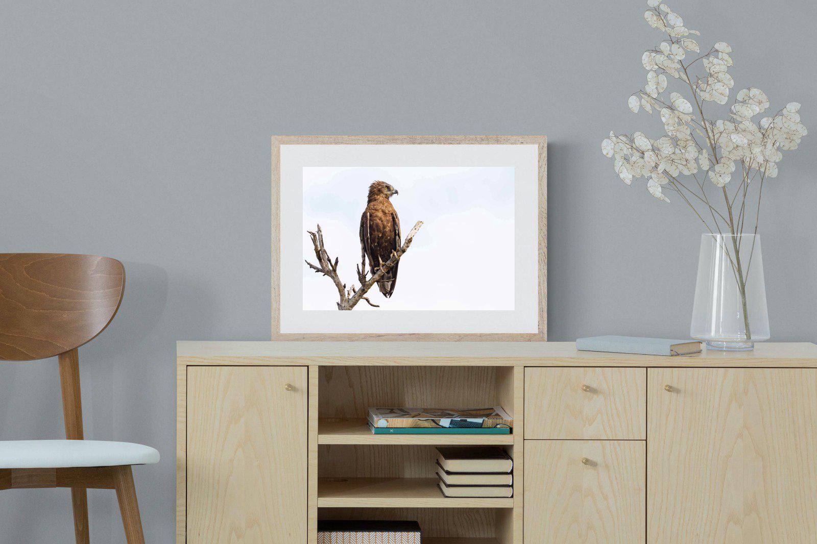 Perched-Wall_Art-60 x 45cm-Framed Print-Wood-Pixalot