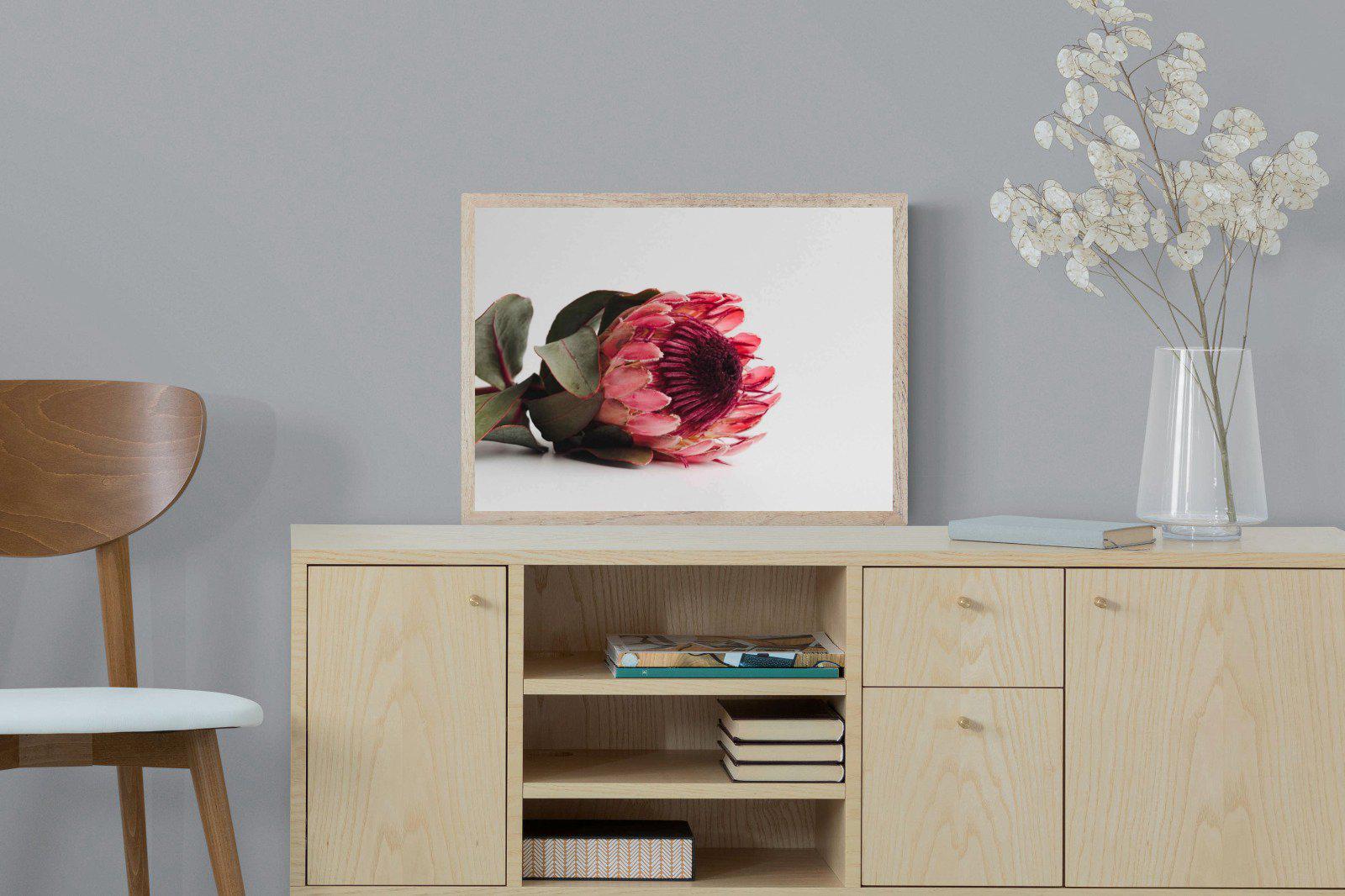 Resting Protea-Wall_Art-60 x 45cm-Mounted Canvas-Wood-Pixalot