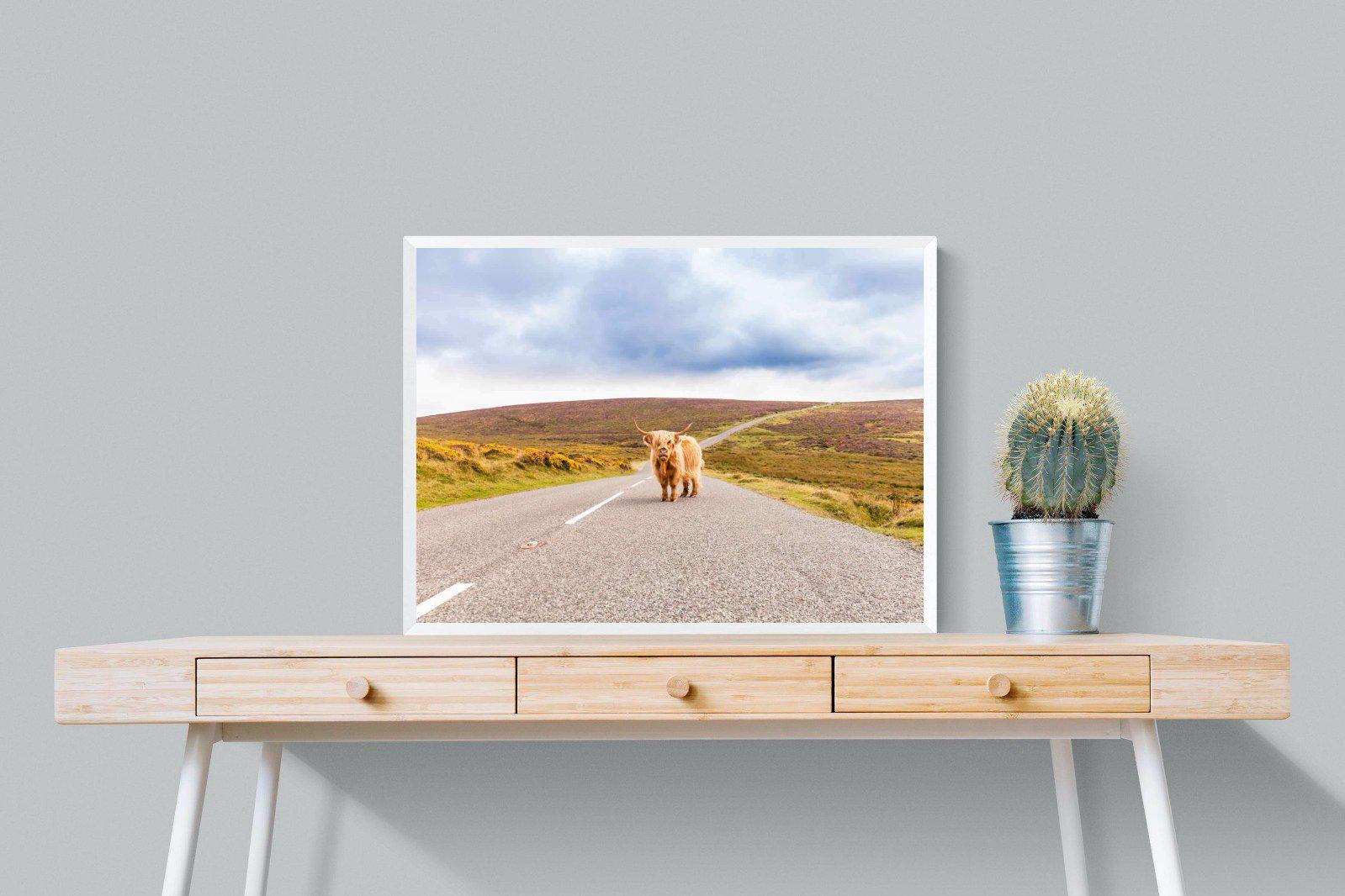 Scottish Highland Cow-Wall_Art-80 x 60cm-Mounted Canvas-White-Pixalot