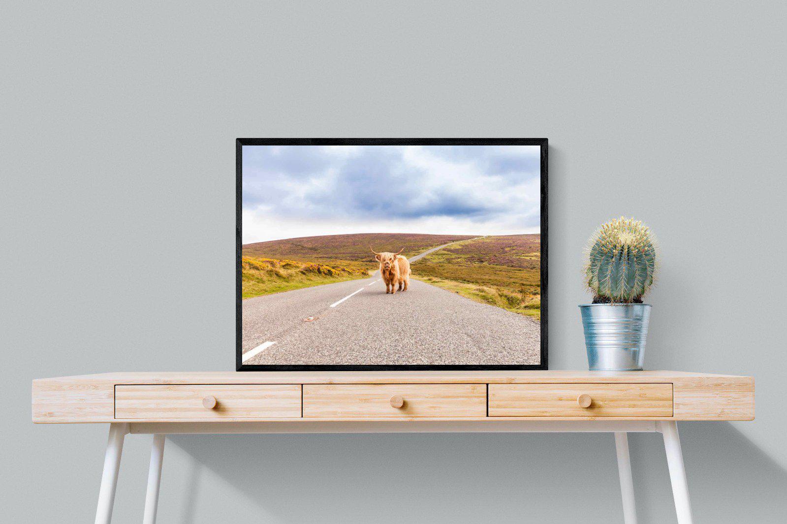 Scottish Highland Cow-Wall_Art-80 x 60cm-Mounted Canvas-Black-Pixalot