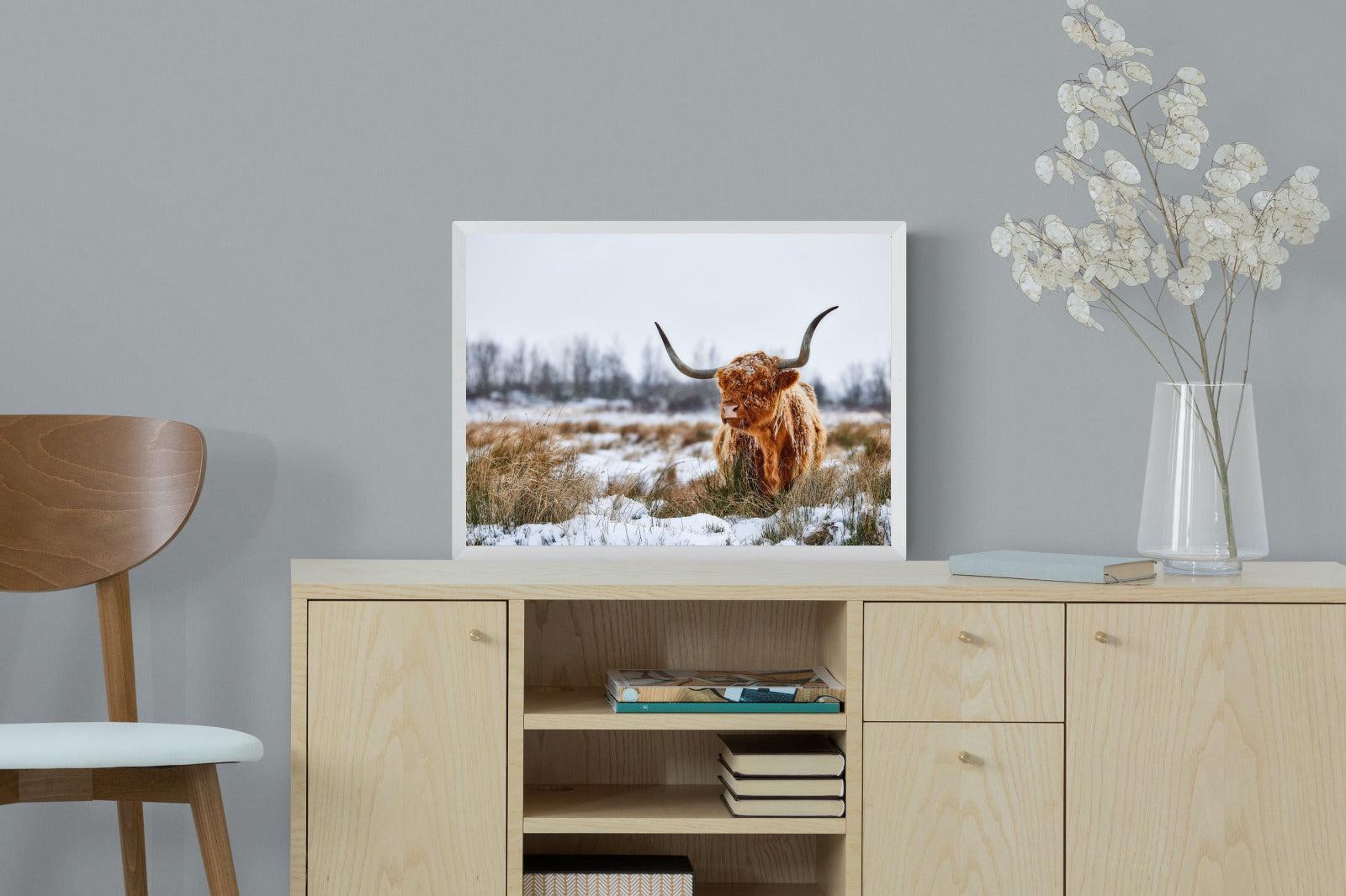 Scottish Highlander (colour)-Wall_Art-60 x 45cm-Mounted Canvas-White-Pixalot