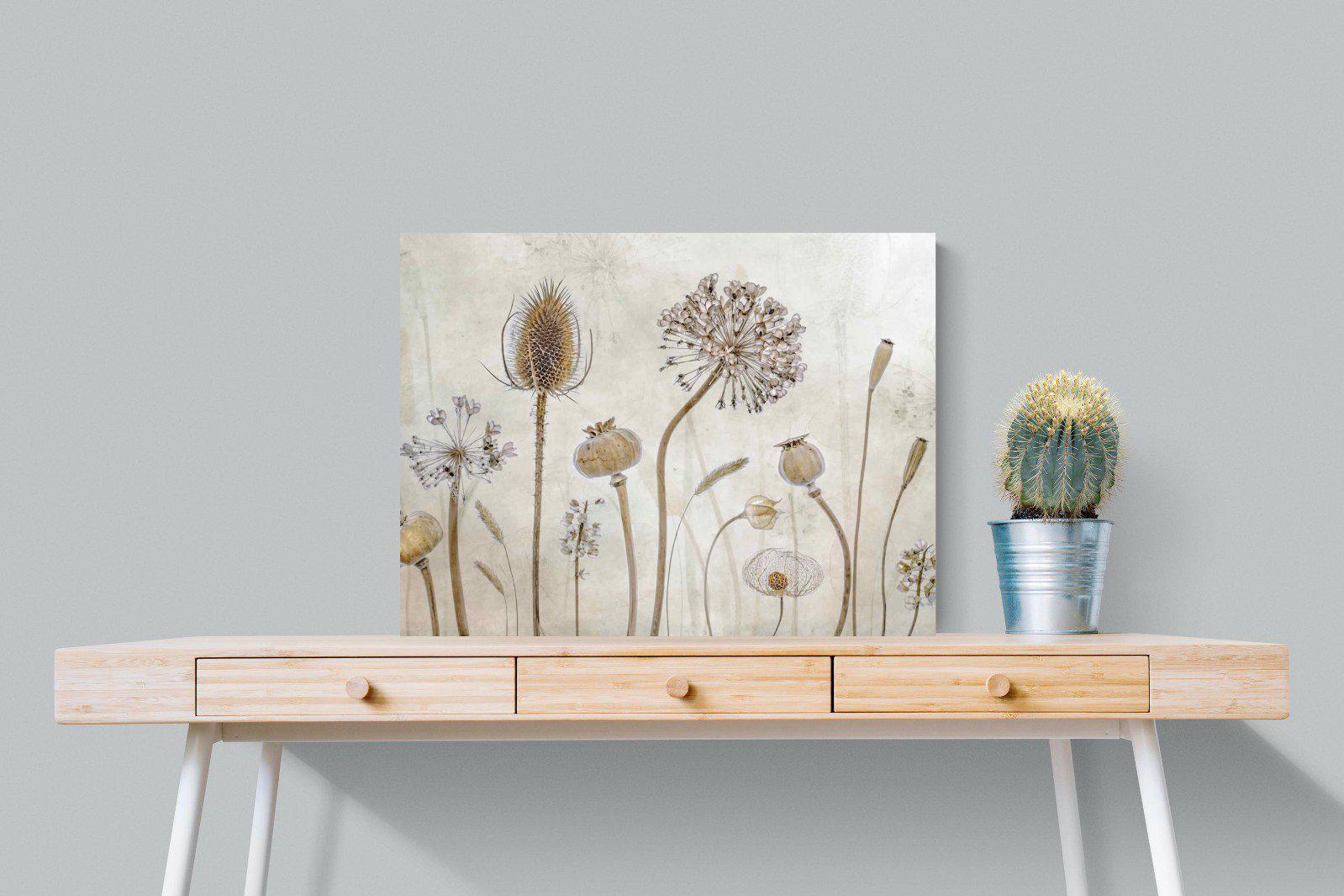 Seed Pods-Wall_Art-80 x 60cm-Mounted Canvas-No Frame-Pixalot