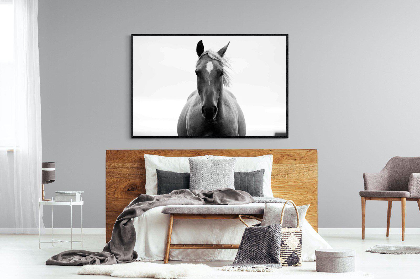 Stallion-Wall_Art-150 x 100cm-Mounted Canvas-Black-Pixalot