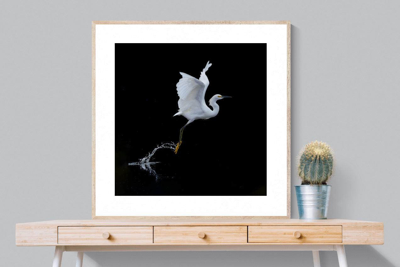Take to the Air-Wall_Art-100 x 100cm-Framed Print-Wood-Pixalot