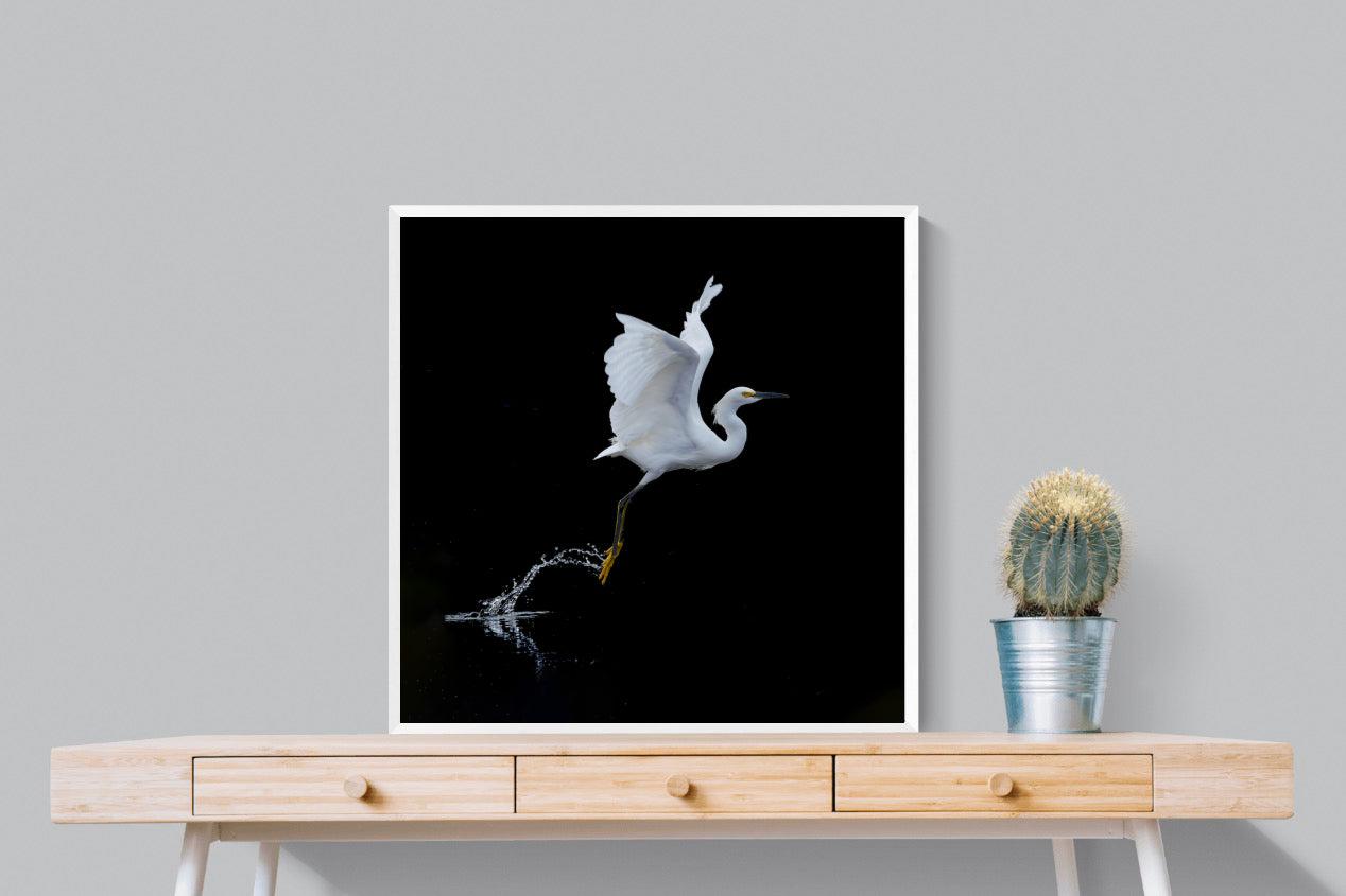 Take to the Air-Wall_Art-80 x 80cm-Mounted Canvas-White-Pixalot