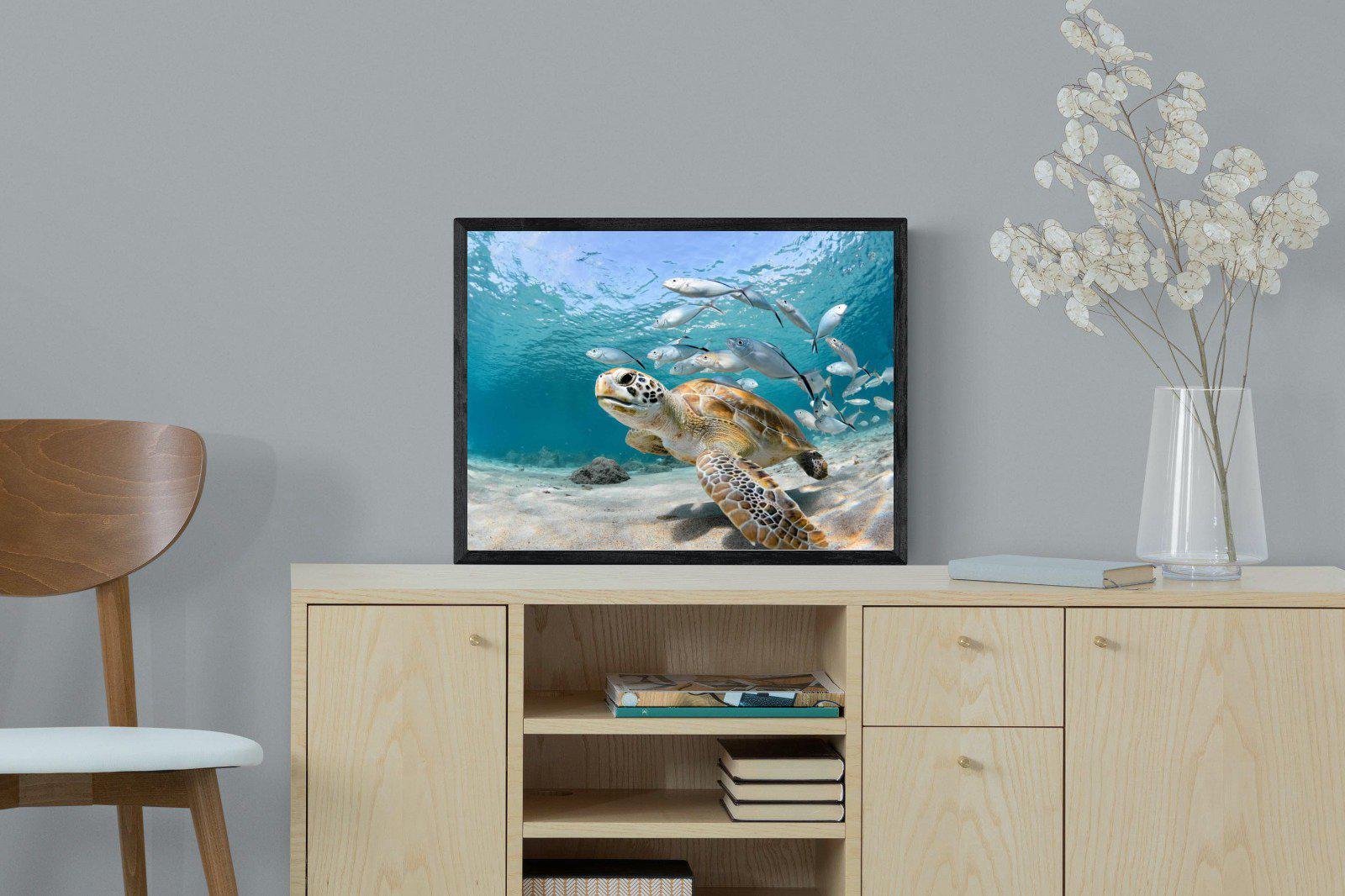 Turtle-Wall_Art-60 x 45cm-Mounted Canvas-Black-Pixalot