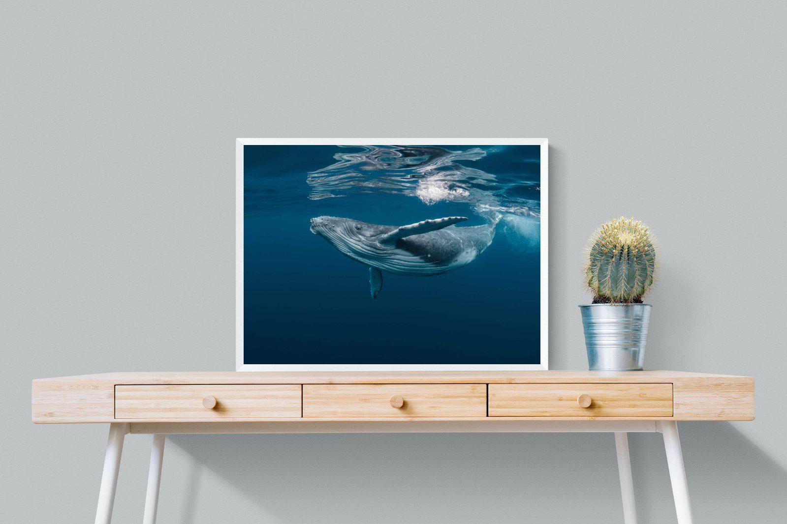Whale-Wall_Art-80 x 60cm-Mounted Canvas-White-Pixalot