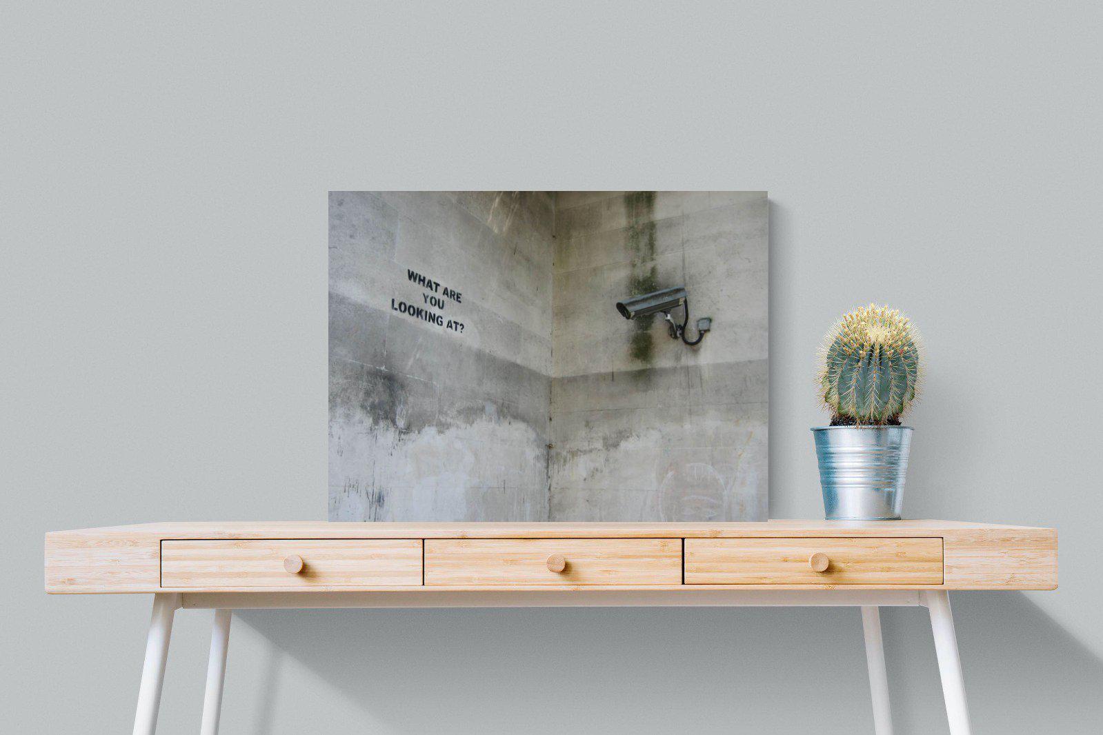 What Are You Looking At-Wall_Art-80 x 60cm-Mounted Canvas-No Frame-Pixalot
