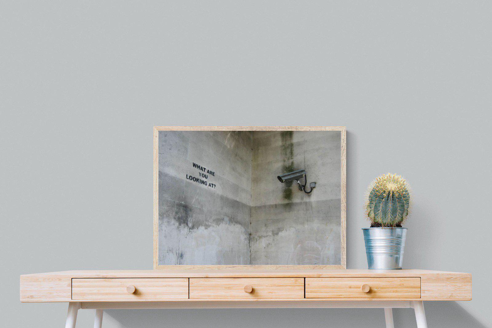 What Are You Looking At-Wall_Art-80 x 60cm-Mounted Canvas-Wood-Pixalot