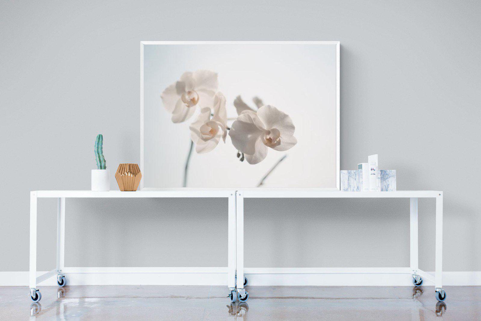 White Moth Orchid-Wall_Art-120 x 90cm-Mounted Canvas-White-Pixalot