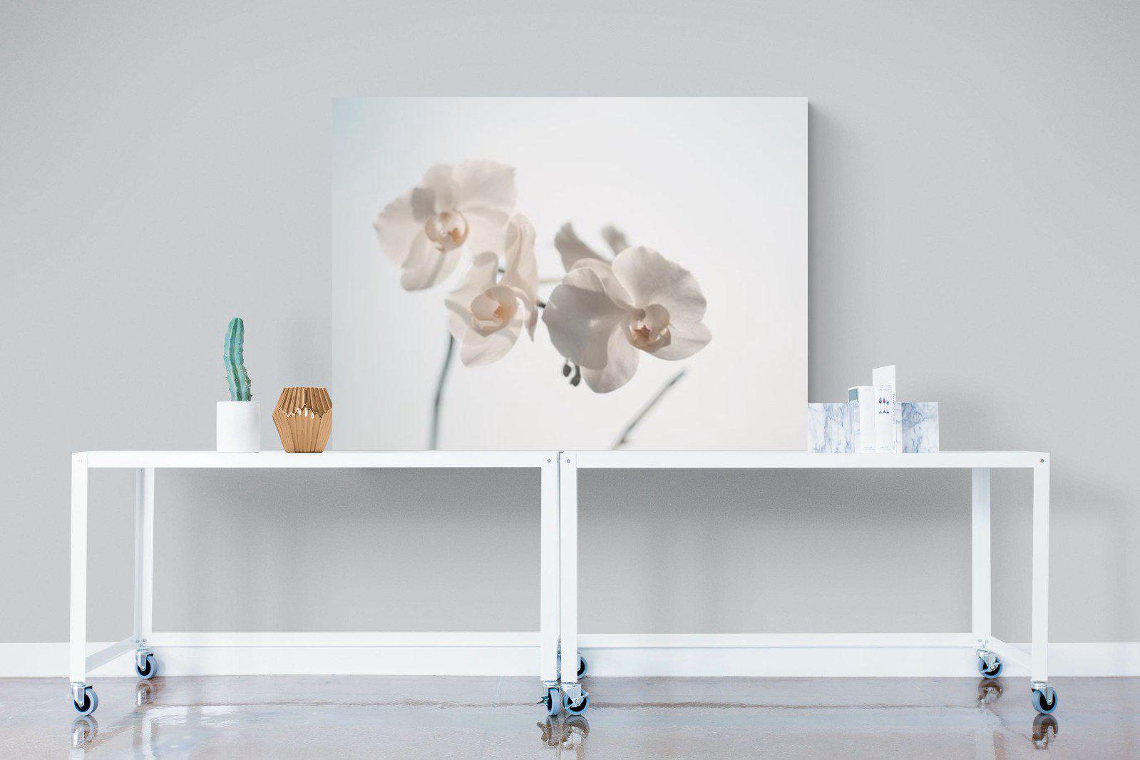 White Moth Orchid-Wall_Art-120 x 90cm-Mounted Canvas-No Frame-Pixalot