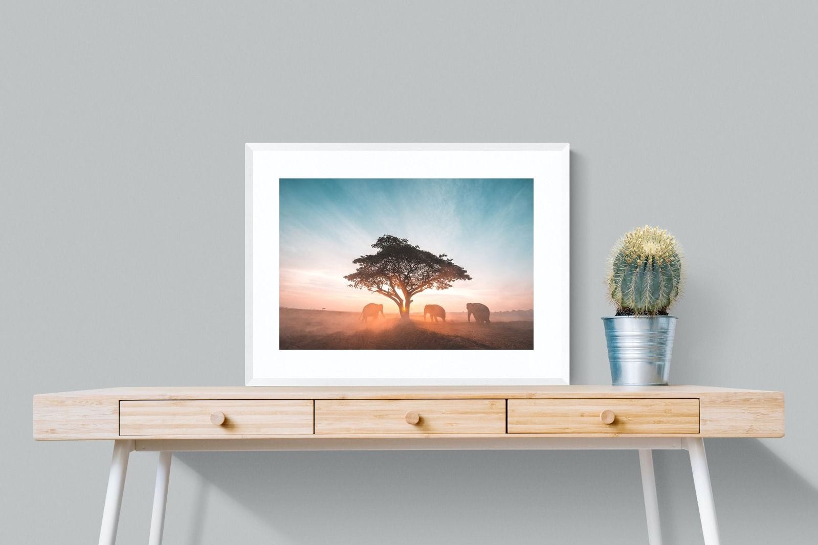 Acacia Cover-Wall_Art-80 x 60cm-Framed Print-White-Pixalot