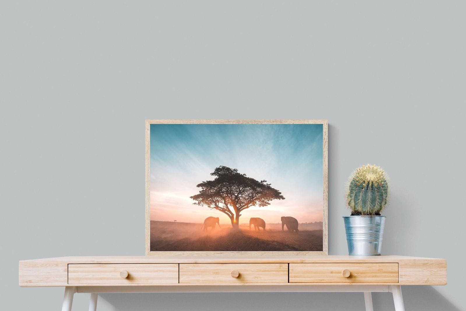 Acacia Cover-Wall_Art-80 x 60cm-Mounted Canvas-Wood-Pixalot