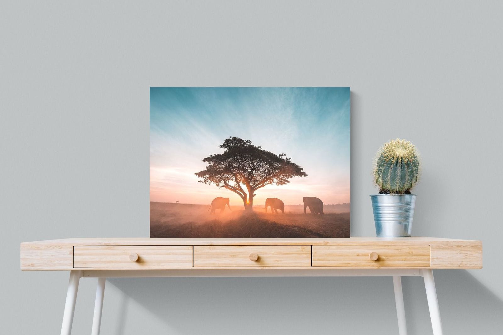 Acacia Cover-Wall_Art-80 x 60cm-Mounted Canvas-No Frame-Pixalot