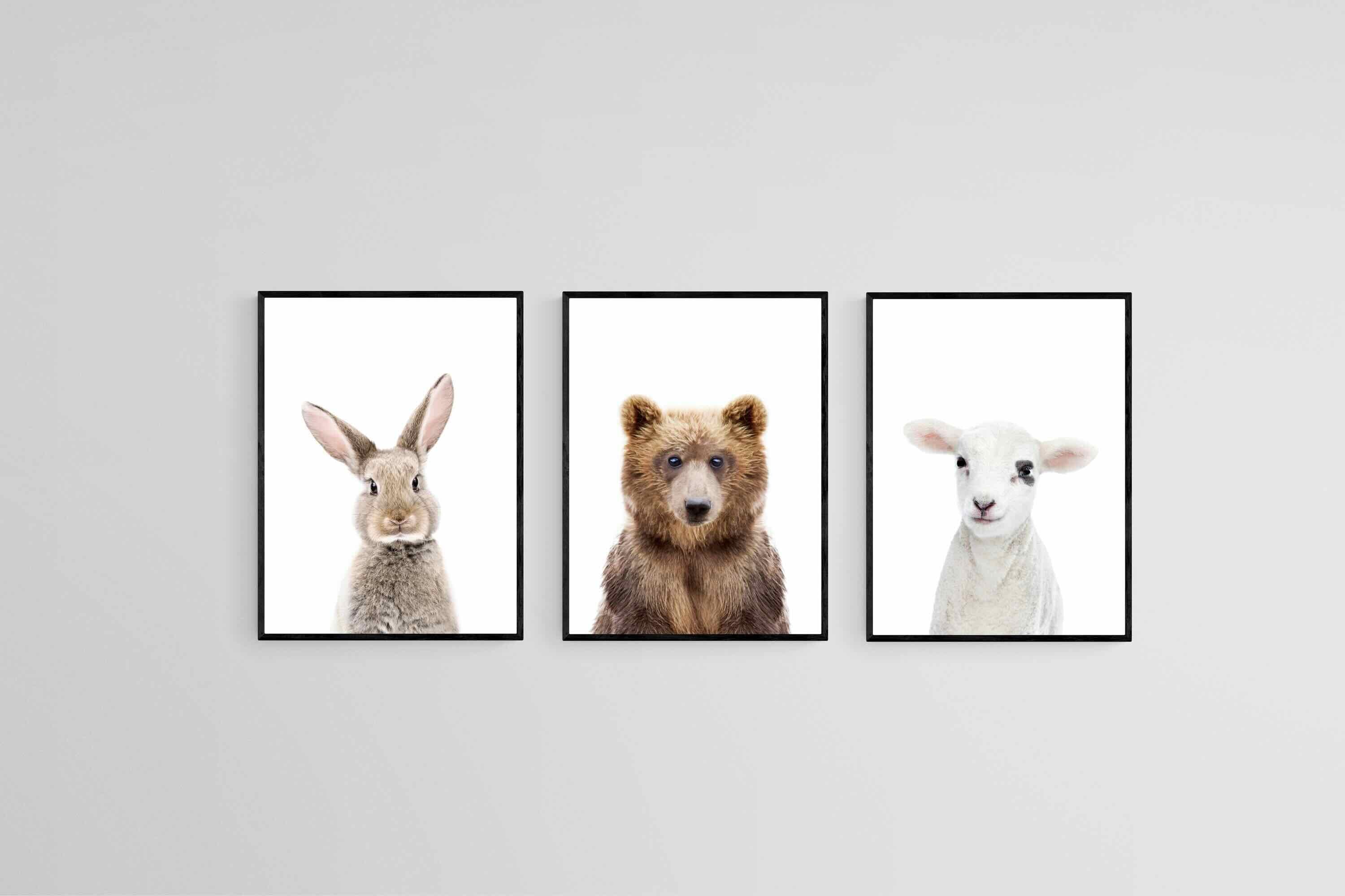 Adorable Trio Set-Wall_Art-45 x 60cm (x3)-Mounted Canvas-Black-Pixalot