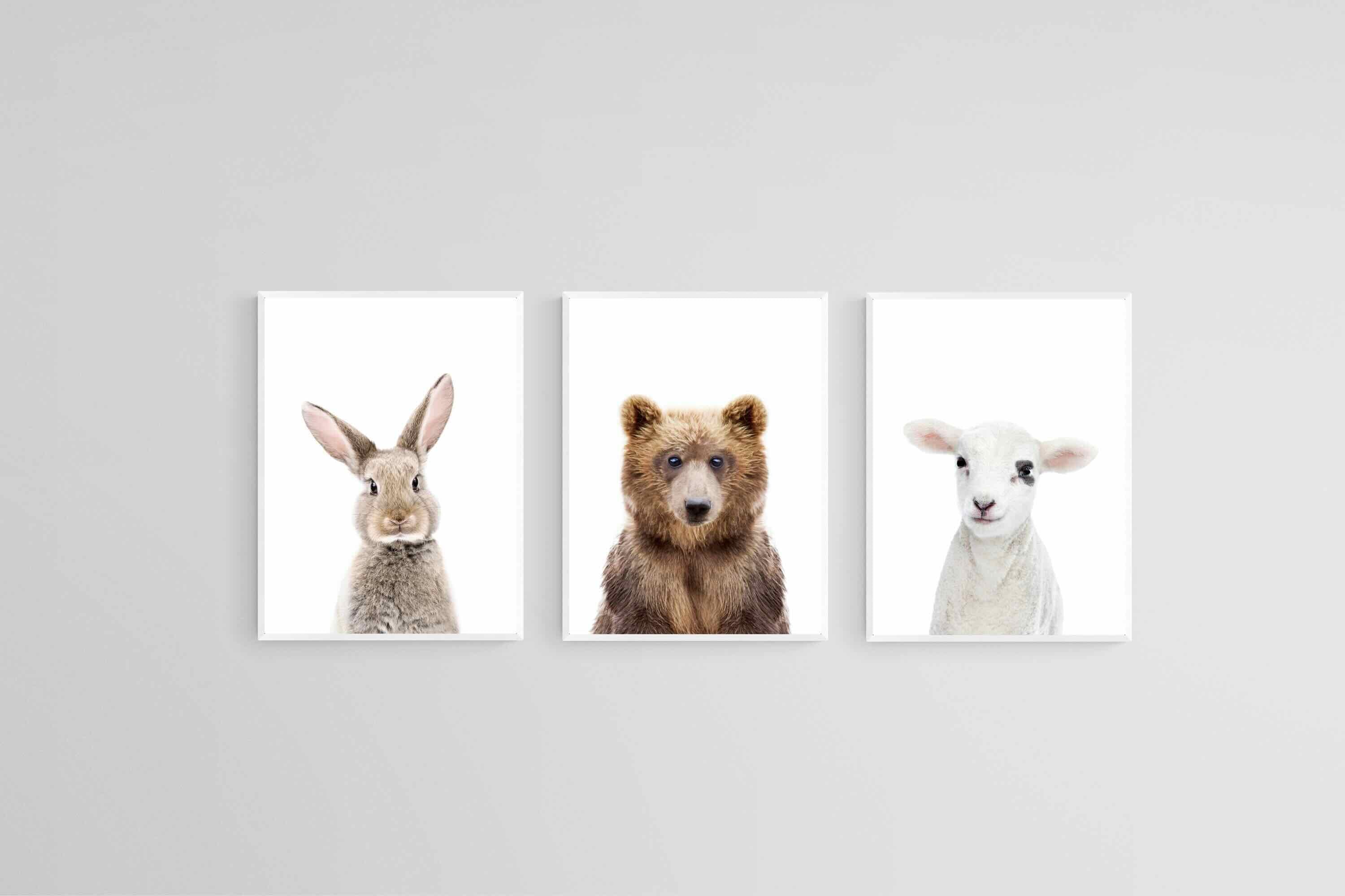 Adorable Trio Set-Wall_Art-45 x 60cm (x3)-Mounted Canvas-White-Pixalot