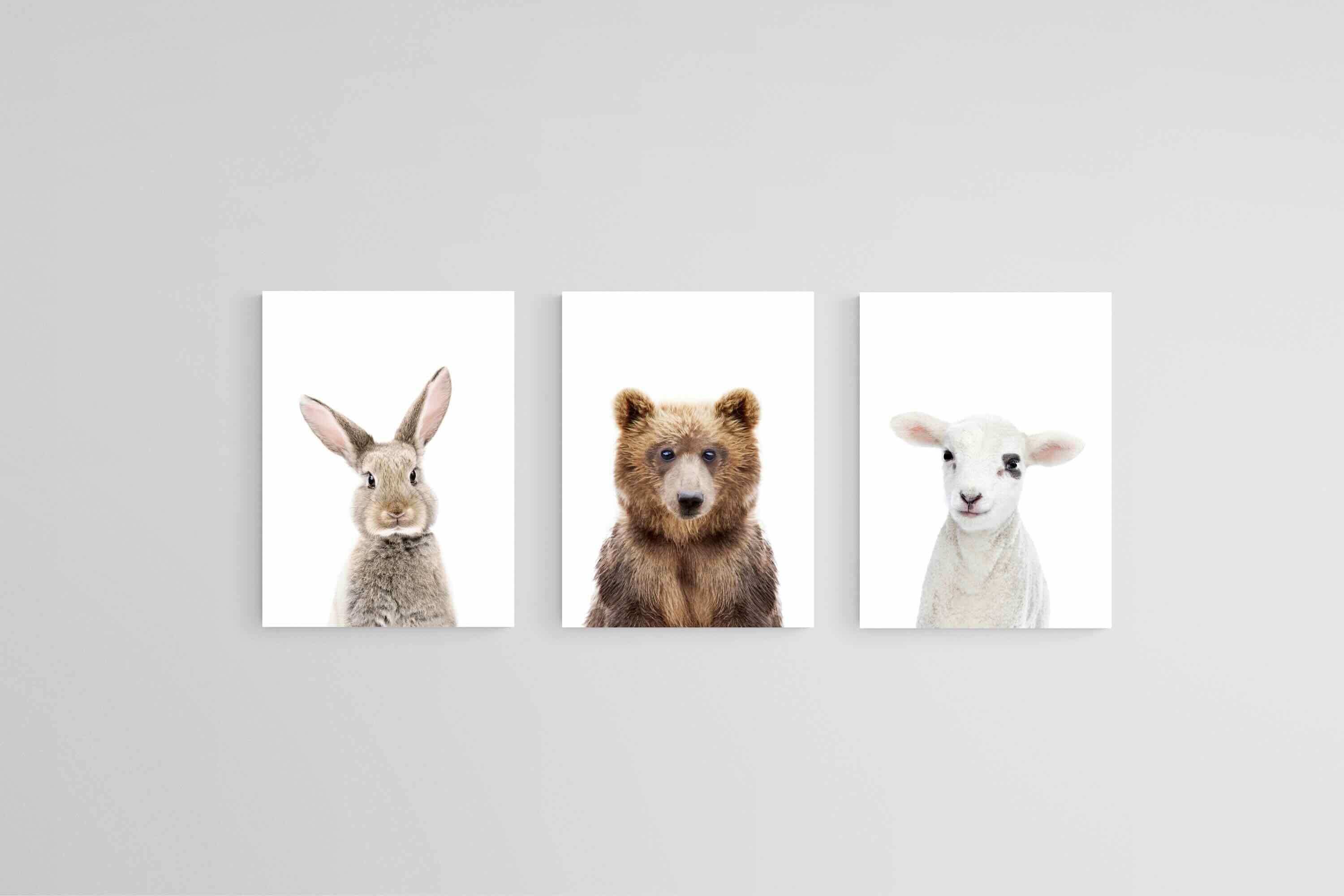 Adorable Trio Set-Wall_Art-45 x 60cm (x3)-Mounted Canvas-No Frame-Pixalot