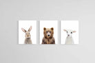Adorable Trio Set-Wall_Art-45 x 60cm (x3)-Mounted Canvas-No Frame-Pixalot