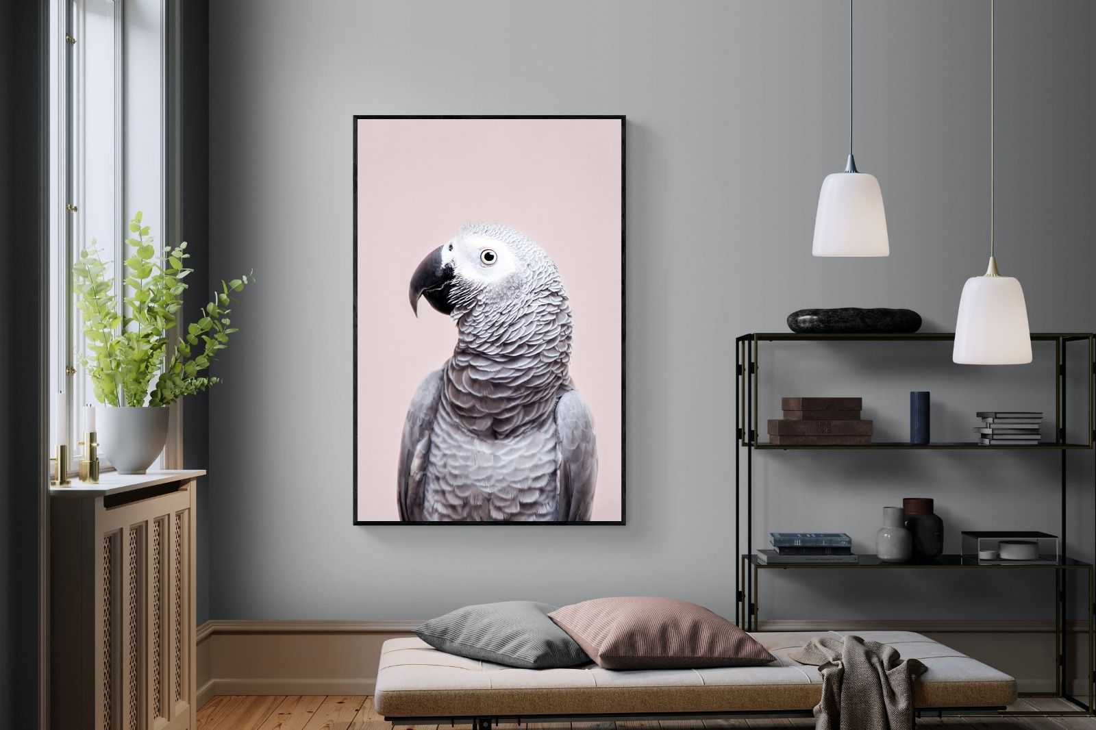 Pixalot African Grey